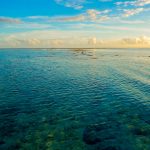 people on beach during daytime